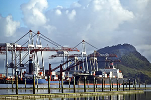 Port of Tauranga